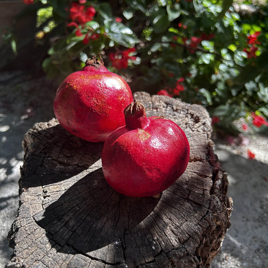 Granadas Imagen de Granadas