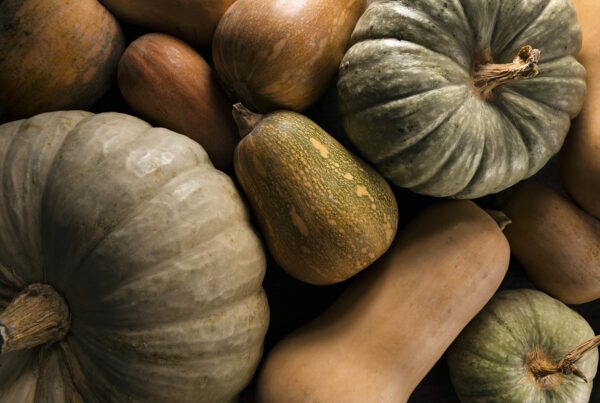 Imagen de Variedad De Calabaza