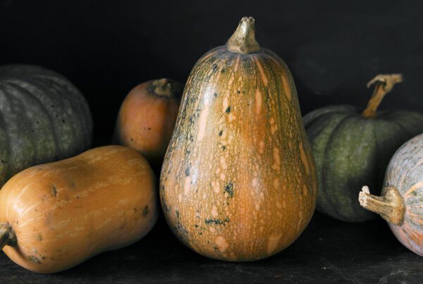 Imagen de bodegón de calabaza cacahuete